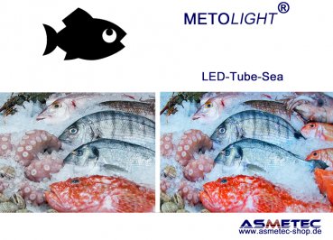 METOLIGHT LED-Tube seafood